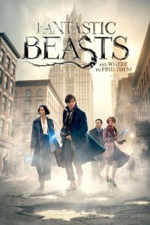 فیلم Fantastic Beasts and Where to Find Them جانوران شگفتانگیز و زیستگاه آنها 2016 فیلم Fantastic Beasts and Where to Find Them جانوران شگفتانگیز و زیستگاه آنها 2016