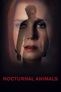 فیلم Nocturnal Animals حیوانات شبگرد 2016